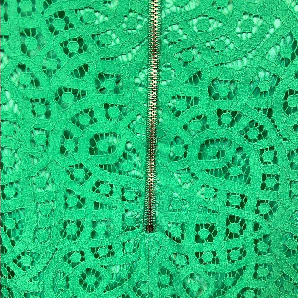 Antonio Melani Chic Green Lace Sleeveless Dress with Eyelash trim Size 12 - Picture 10 of 12